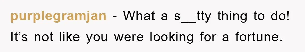 purplegramjan − What a s__tty thing to do! It’s not like you were looking for a fortune.