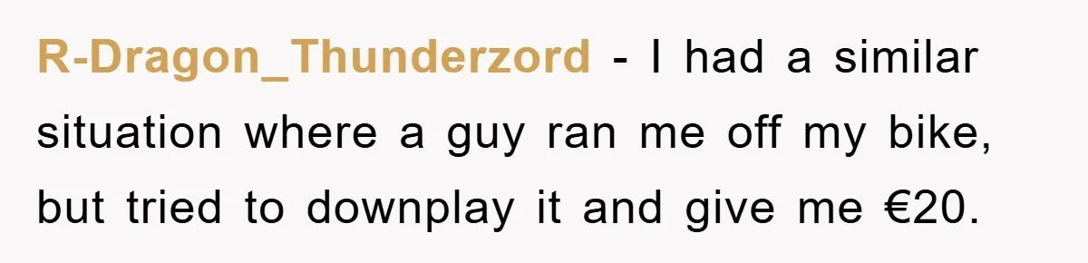 R-Dragon_Thunderzord − I had a similar situation where a guy ran me off my bike, but tried to downplay it and give me €20.