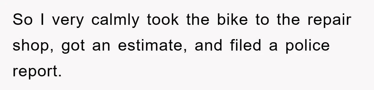 So I very calmly took the bike to the repair shop, got an estimate, and filed a police report.