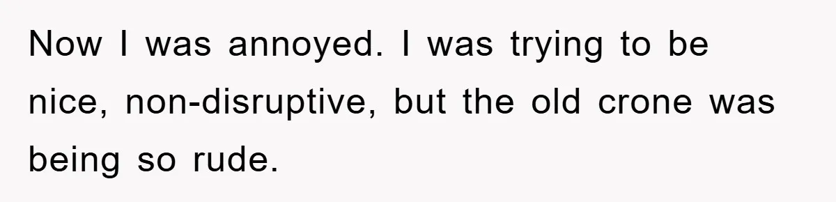 Now I was annoyed. I was trying to be nice, non-disruptive, but the old crone was being so rude.