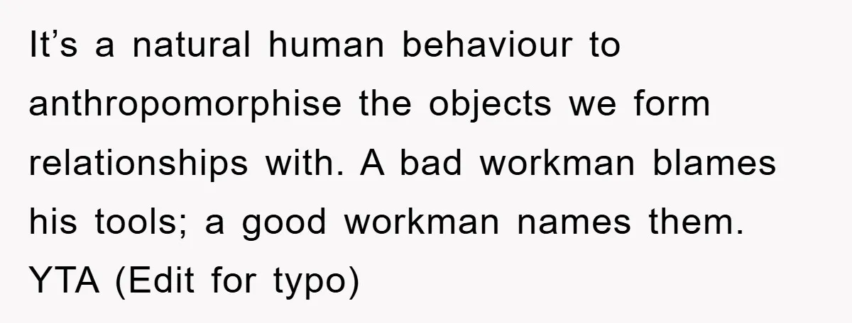 It’s a natural human behaviour to anthropomorphise the objects we form relationships with. A bad workman blames his tools; a good workman names them. YTA (Edit for typo)