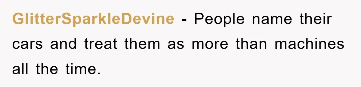 GlitterSparkleDevine − People name their cars and treat them as more than machines all the time.