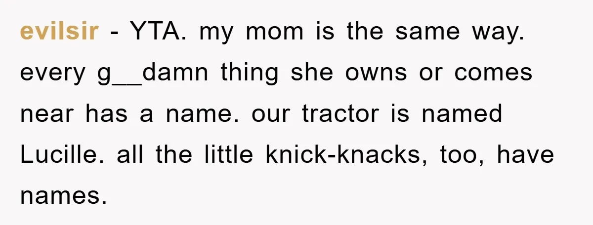 evilsir − YTA. my mom is the same way. every g__damn thing she owns or comes near has a name. our tractor is named Lucille. all the little knick-knacks, too,...