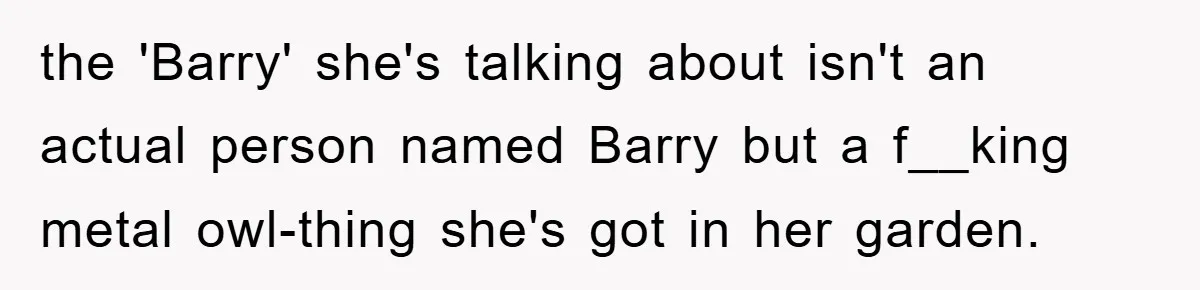 the 'Barry' she's talking about isn't an actual person named Barry but a f__king metal owl-thing she's got in her garden.
