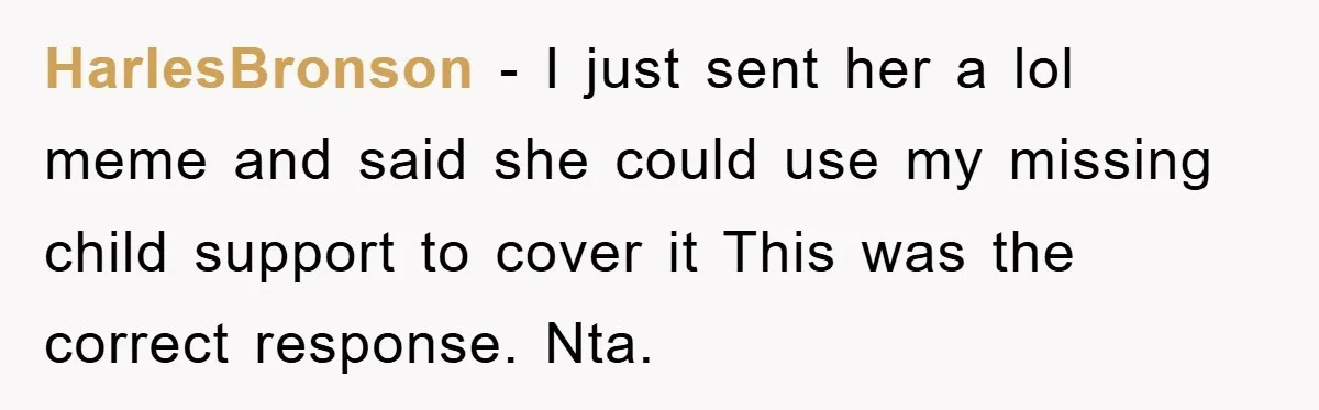 HarlesBronson − I just sent her a lol meme and said she could use my missing child support to cover it This was the correct response. Nta.