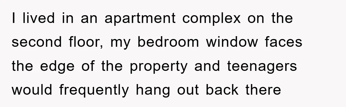 I lived in an apartment complex on the second floor, my bedroom window faces the edge of the property and teenagers would frequently hang out back there