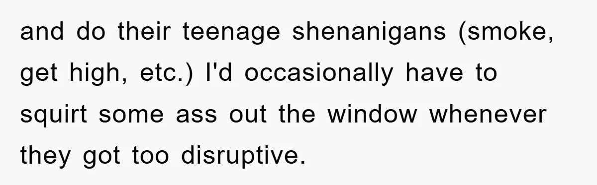 and do their teenage shenanigans (smoke, get high, etc.) I'd occasionally have to squirt some ass out the window whenever they got too disruptive.