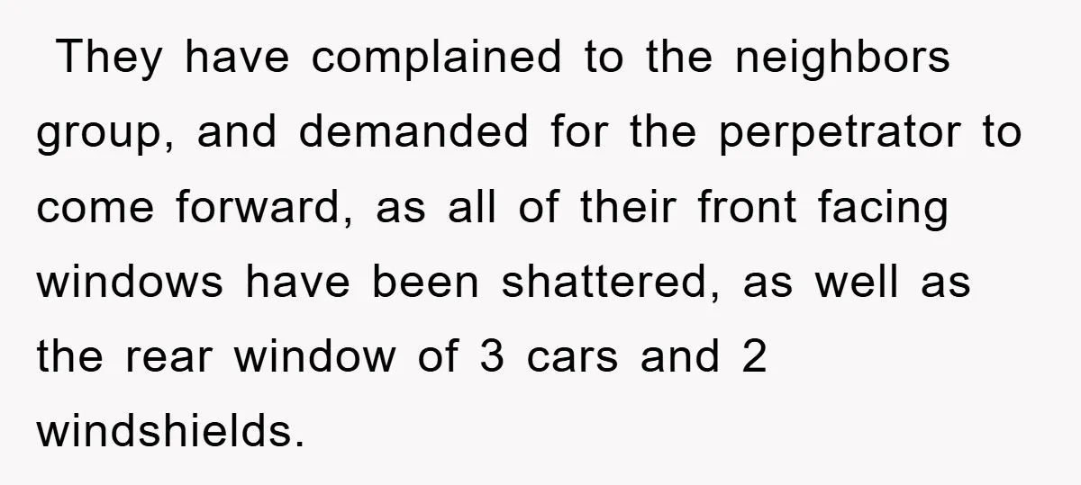 ​ They have complained to the neighbors group, and demanded for the perpetrator to come forward, as all of their front facing windows have been shattered, as well as the...