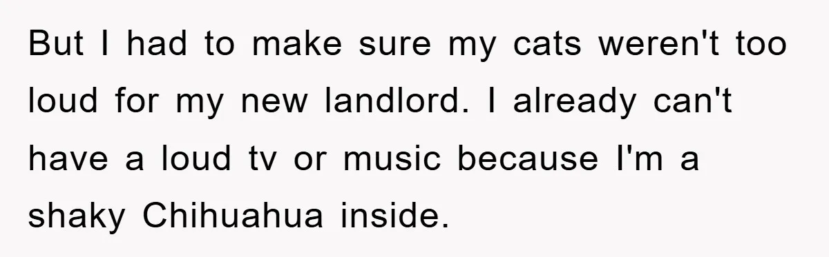 But I had to make sure my cats weren't too loud for my new landlord. I already can't have a loud tv or music because I'm a shaky Chihuahua inside.