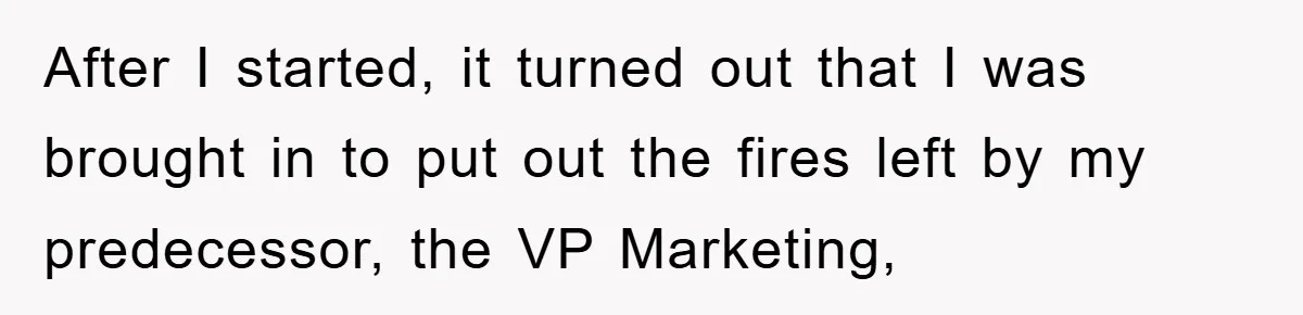 After I started, it turned out that I was brought in to put out the fires left by my predecessor, the VP Marketing,