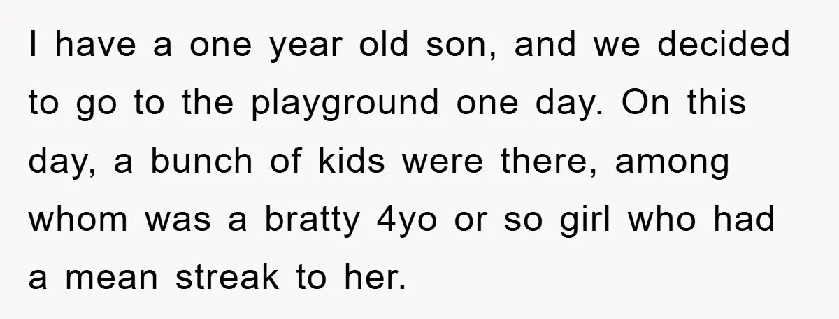 I have a one year old son, and we decided to go to the playground one day. On this day, a bunch of kids were there, among whom was a...