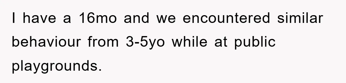 I have a 16mo and we encountered similar behaviour from 3-5yo while at public playgrounds.
