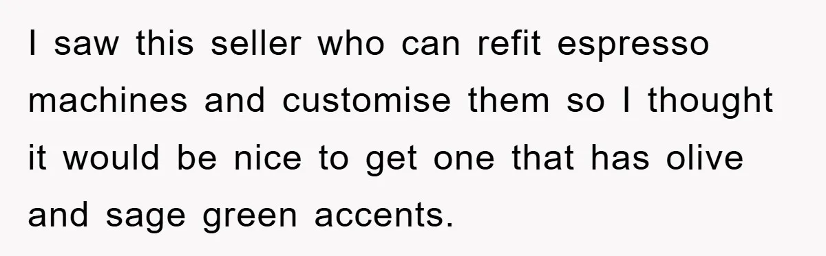 I saw this seller who can refit espresso machines and customise them so I thought it would be nice to get one that has olive and sage green accents.