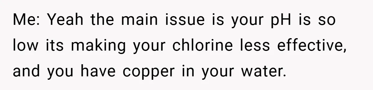 Me: Yeah the main issue is your pH is so low its making your chlorine less effective, and you have copper in your water.