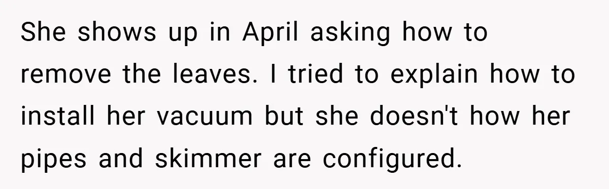 She shows up in April asking how to remove the leaves. I tried to explain how to install her vacuum but she doesn't how her pipes and skimmer are configured.