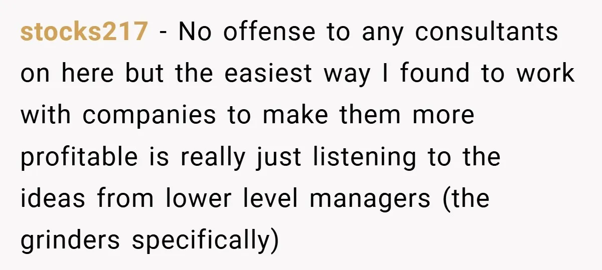 stocks217 − No offense to any consultants on here but the easiest way I found to work with companies to make them more profitable is really just listening to the...