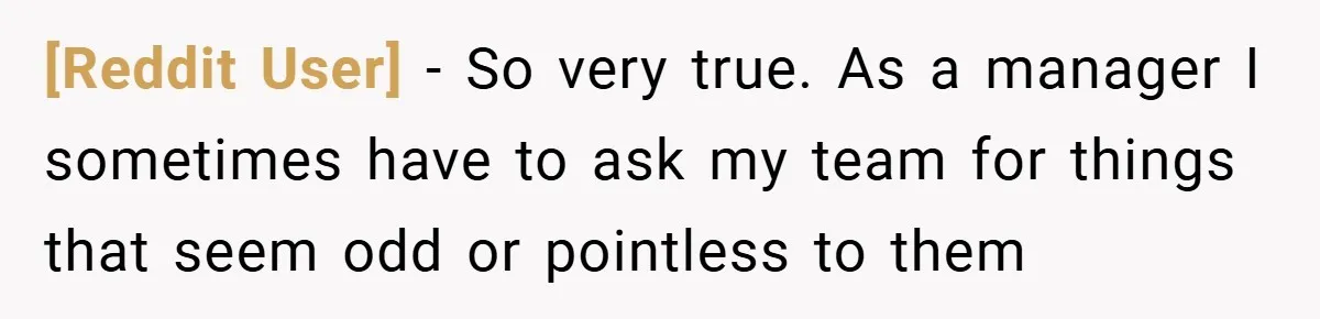 [Reddit User] − So very true. As a manager I sometimes have to ask my team for things that seem odd or pointless to them
