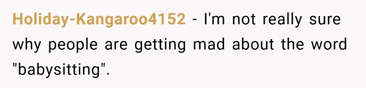 Holiday-Kangaroo4152 − I'm not really sure why people are getting mad about the word "babysitting".