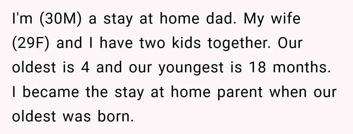 I'm (30M) a stay at home dad. My wife (29F) and I have two kids together. Our oldest is 4 and our youngest is 18 months. I became the stay...