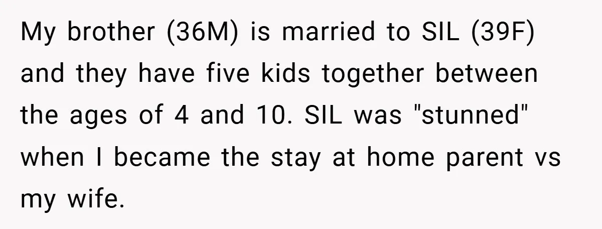 My brother (36M) is married to SIL (39F) and they have five kids together between the ages of 4 and 10. SIL was "stunned" when I became the stay at...