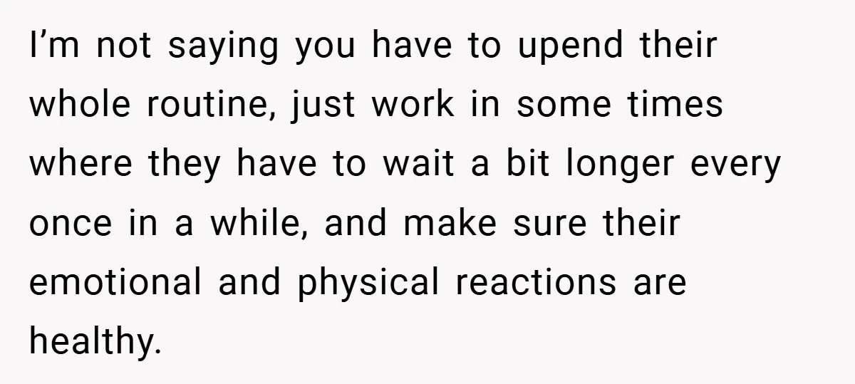 I’m not saying you have to upend their whole routine, just work in some times where they have to wait a bit longer every once in a while, and make...