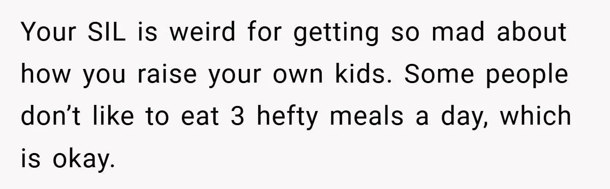 Your SIL is weird for getting so mad about how you raise your own kids. Some people don’t like to eat 3 hefty meals a day, which is okay.