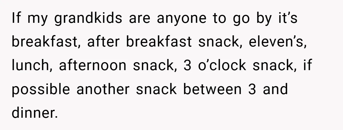 If my grandkids are anyone to go by it’s breakfast, after breakfast snack, eleven’s, lunch, afternoon snack, 3 o’clock snack, if possible another snack between 3 and dinner.