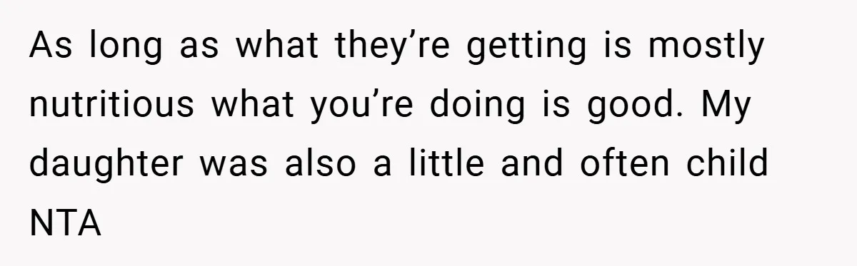 As long as what they’re getting is mostly nutritious what you’re doing is good. My daughter was also a little and often child NTA