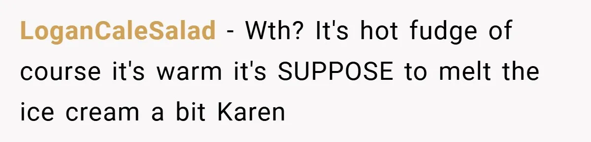LoganCaleSalad − Wth? It's hot fudge of course it's warm it's SUPPOSE to melt the ice cream a bit Karen