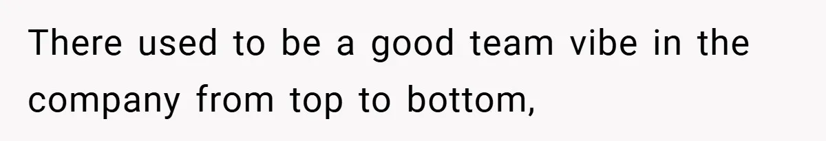 There used to be a good team vibe in the company from top to bottom,