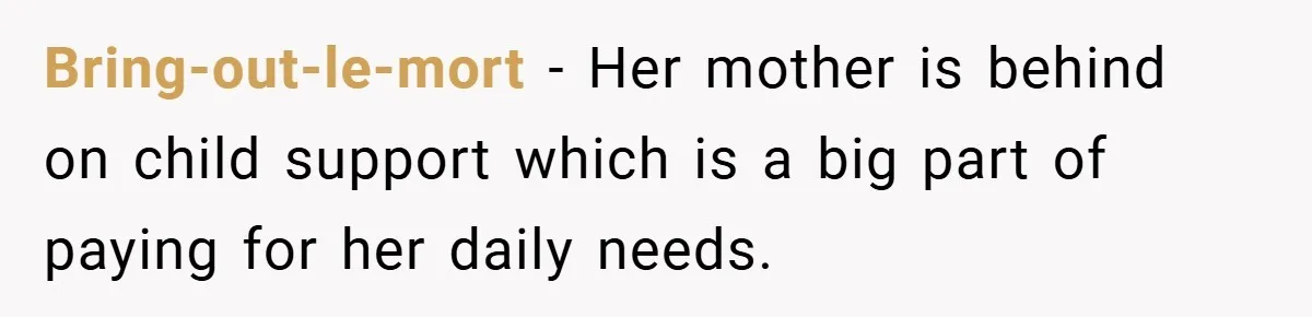 Father Accused of Favoritism After Throwing One Daughter a Sweet 16 and Denying the Same to Her Half-Sister Bring-out-le-mort − Her mother is behind on child support which is a big part of paying for her daily needs.