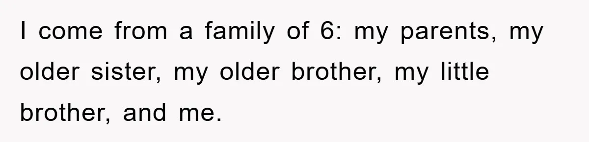 I come from a family of 6: my parents, my older sister, my older brother, my little brother, and me.