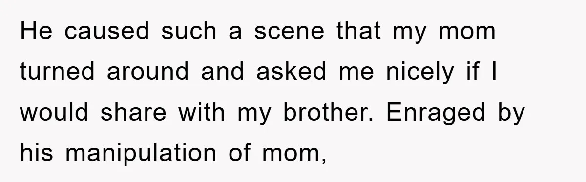 He caused such a scene that my mom turned around and asked me nicely if I would share with my brother. Enraged by his manipulation of mom,