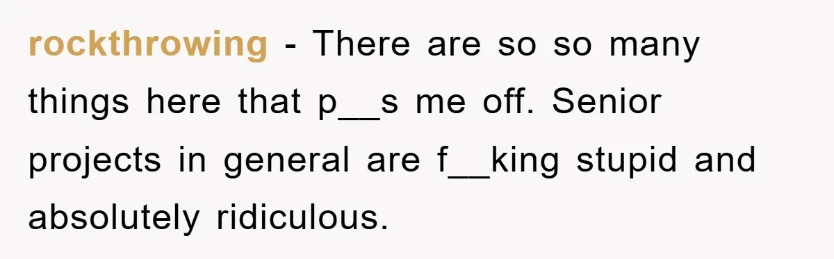rockthrowing − There are so so many things here that p__s me off. Senior projects in general are f__king stupid and absolutely ridiculous.