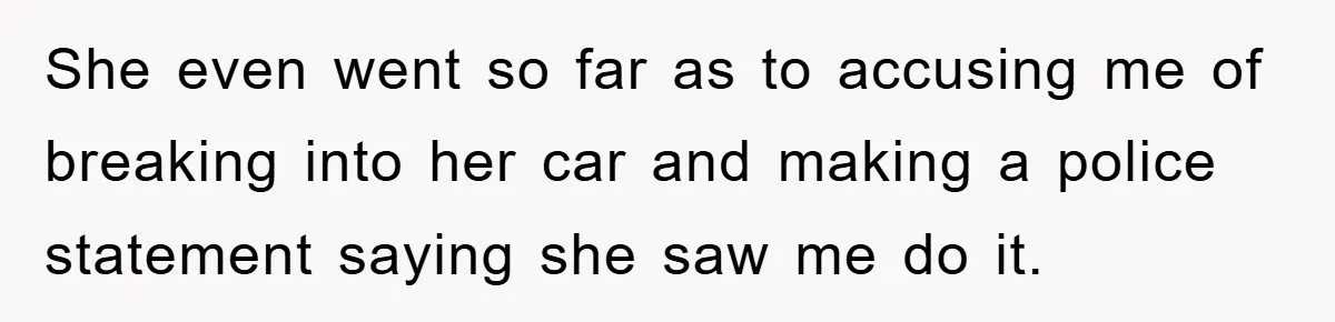 She even went so far as to accusing me of breaking into her car and making a police statement saying she saw me do it.