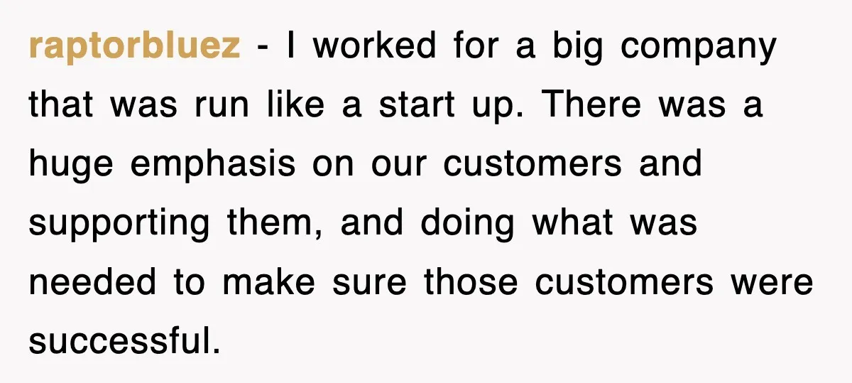 raptorbluez − I worked for a big company that was run like a start up. There was a huge emphasis on our customers and supporting them, and doing what was...