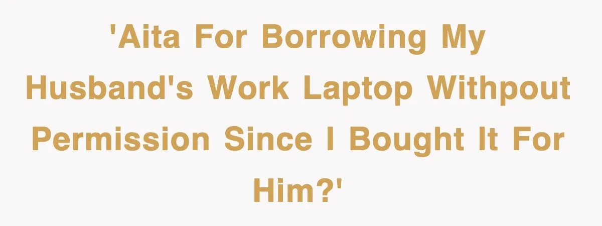 'AITA for borrowing my husband's work laptop withpout permission since I bought it for him?'