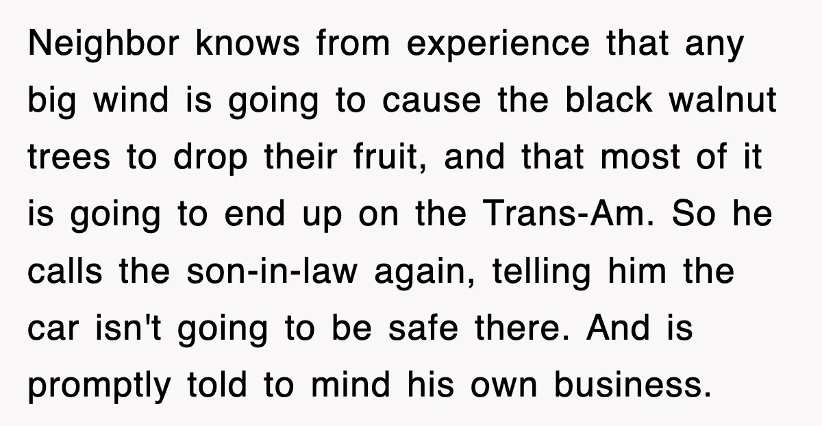 Neighbor knows from experience that any big wind is going to cause the black walnut trees to drop their fruit, and that most of it is going to end up...