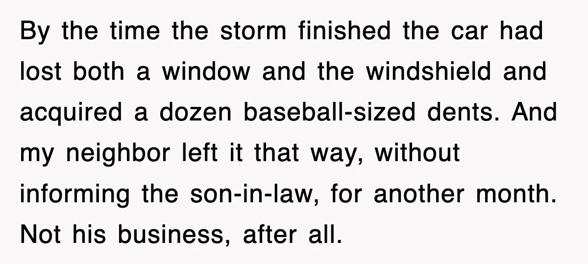 By the time the storm finished the car had lost both a window and the windshield and acquired a dozen baseball-sized dents. And my neighbor left it that way, without...