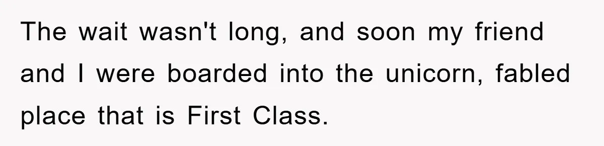 The wait wasn't long, and soon my friend and I were boarded into the unicorn, fabled place that is First Class.