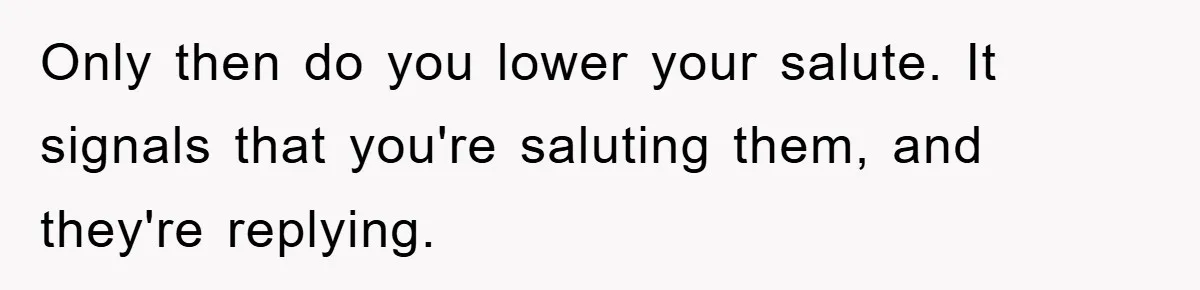 Only then do you lower your salute. It signals that you're saluting them, and they're replying.