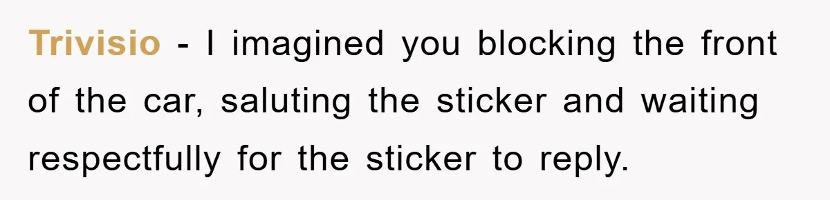 Trivisio − I imagined you blocking the front of the car, saluting the sticker and waiting respectfully for the sticker to reply.
