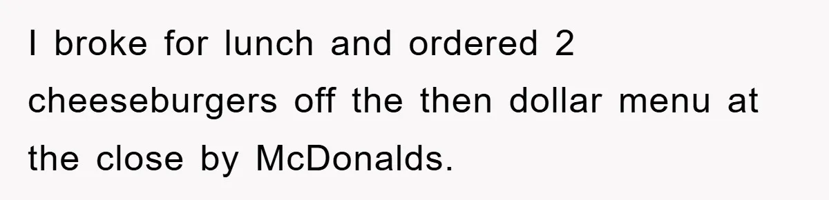 I broke for lunch and ordered 2 cheeseburgers off the then dollar menu at the close by McDonalds.