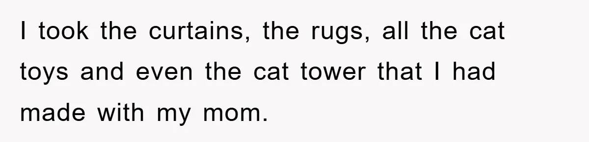 I took the curtains, the rugs, all the cat toys and even the cat tower that I had made with my mom.