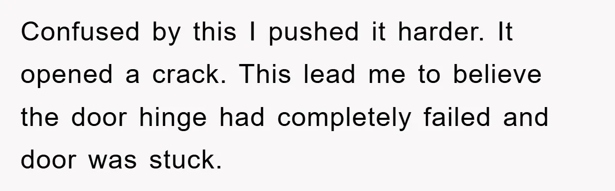 Confused by this I pushed it harder. It opened a crack. This lead me to believe the door hinge had completely failed and door was stuck.
