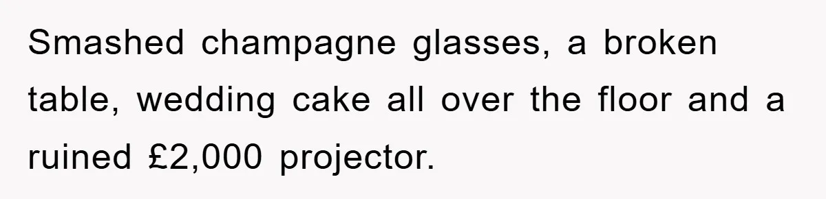 Smashed champagne glasses, a broken table, wedding cake all over the floor and a ruined £2,000 projector.