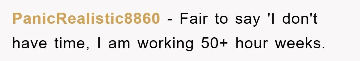 PanicRealistic8860 − Fair to say 'I don't have time, I am working 50+ hour weeks.