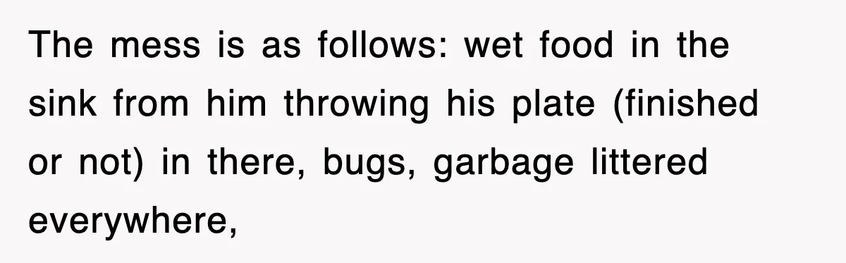 The mess is as follows: wet food in the sink from him throwing his plate (finished or not) in there, bugs, garbage littered everywhere,