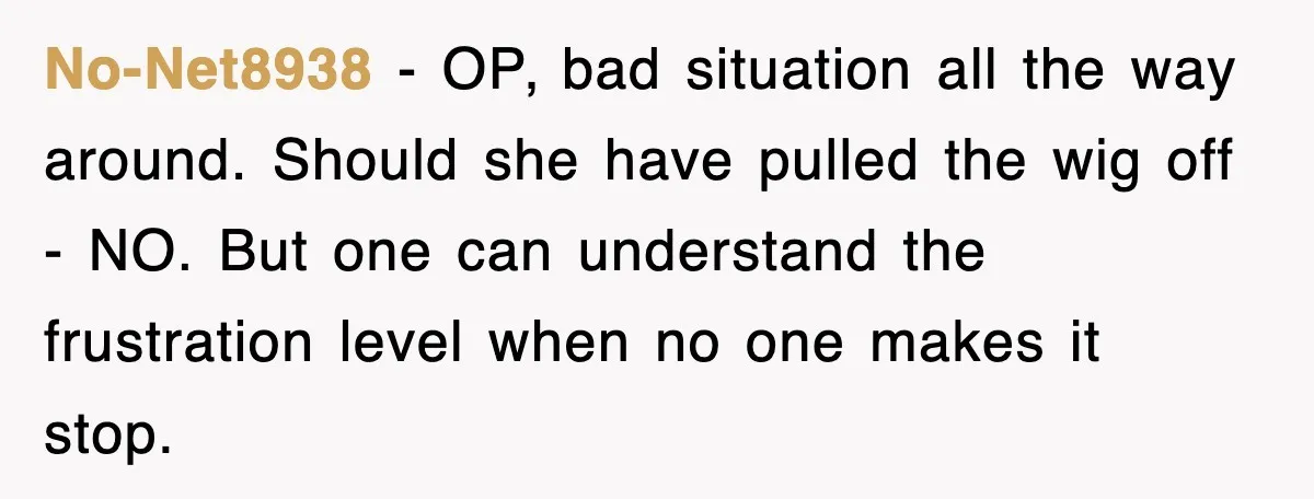 No-Net8938 − OP, bad situation all the way around. Should she have pulled the wig off - NO. But one can understand the frustration level when no one makes it...