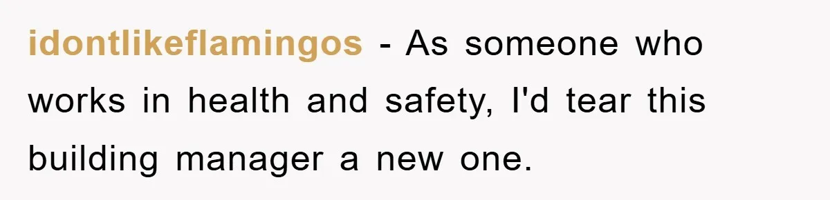 idontlikeflamingos − As someone who works in health and safety, I'd tear this building manager a new one.